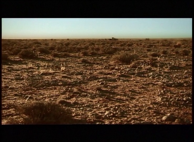 Video Reference: Atmosphere, Plant community, Sky, Natural landscape, Plant, Rectangle, Tree, Plain, Grassland, Landscape