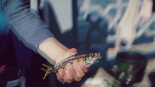 Video Reference: Arthropod, Insect, Finger, Pollinator, Nail, Human leg, Electric blue, Pest, Glove, Street fashion