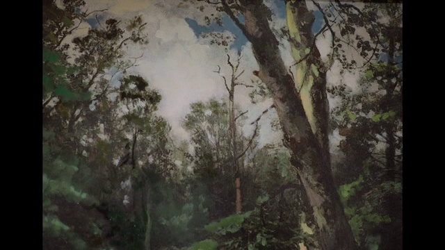 Video Reference: Plant community, Cloud, Plant, Natural landscape, Tree, Sky, Wood, Terrestrial plant, Trunk, Grass