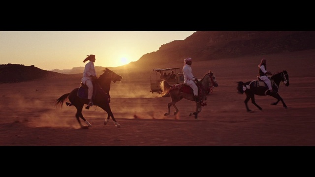 Video Reference: Horse, Sky, Ecoregion, Working animal, Halter, Horse tack, Saddle, Horse supplies, Mountain, Equestrianism