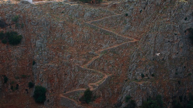 Video Reference: Brown, Road surface, Wood, Bedrock, Grass, Trunk, Twig, Terrestrial plant, Soil, Automotive tire