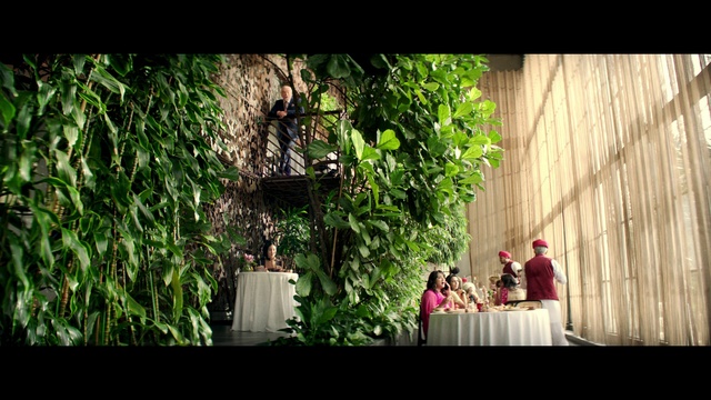 Video Reference: Plant, People in nature, Terrestrial plant, Tints and shades, Grass, Rectangle, Shrub, Tree, Event, Wood