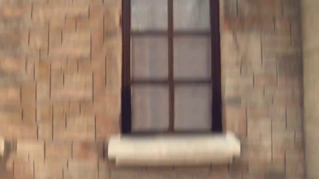 Video Reference: Brown, Wood, Rectangle, Window, Tints and shades, Wood stain, Hardwood, Brick, Flooring, Fixture