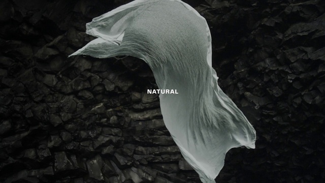 Video Reference: Head, Water, Eye, Beak, Feather, giant white arum lily, Wing, Seabird, Monochrome photography, Wildlife