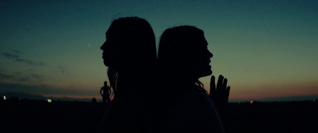 Video Reference: Sky, Natural environment, Plant, Gesture, Happy, Grass, Dusk, Landscape, Crowd, People in nature