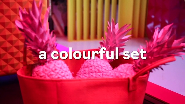 Video Reference: Flower, Petal, Product, Purple, Lighting, Font, Plant, Pink, Table, Red