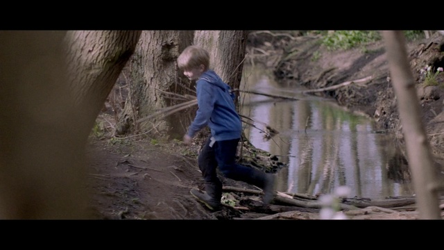 Video Reference: Water, Plant, Flash photography, People in nature, Tree, Wood, Adaptation, Trunk, Tints and shades, Landscape