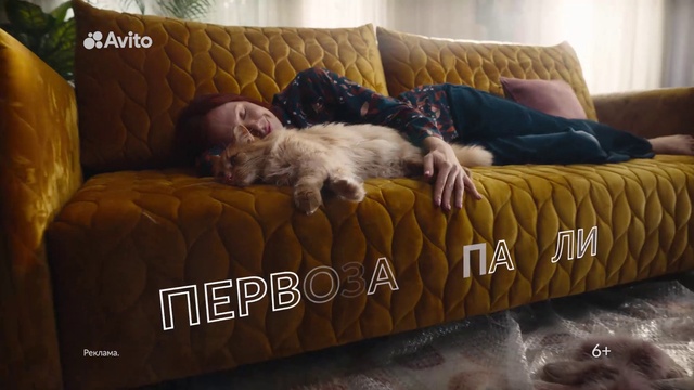 Video Reference: Couch, Furniture, Dog, Comfort, studio couch, Carnivore, Sofa bed, Companion dog, Dog breed, Liver