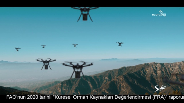 Video Reference: Sky, Mountain, Plant, Ecoregion, Nature, Natural landscape, Organism, Tree, Happy, Adaptation