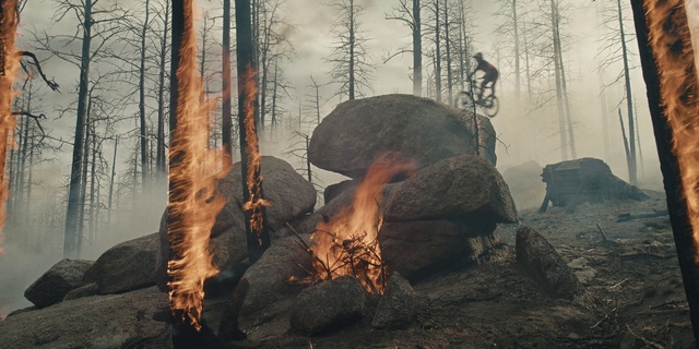 Video Reference: Natural environment, Wood, Branch, Trunk, Tree, Natural landscape, Woody plant, Fire, Landscape, Tints and shades