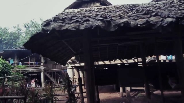 Video Reference: thatched roof, hut, rustic, village, rural, wooden structure, tropical, outdoor, traditional, shelter, architecture, landscape, vegetation, open air