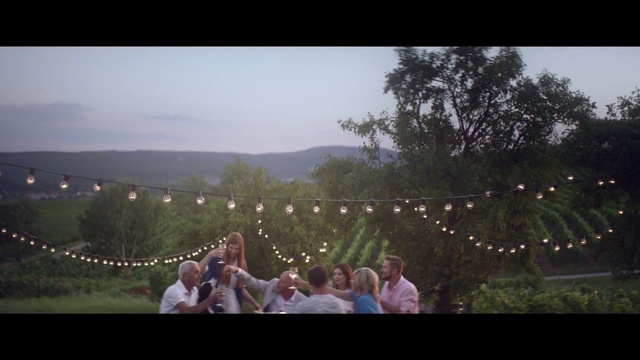 Video Reference: Sky, Natural environment, Plant, Tree, Flash photography, Happy, Atmospheric phenomenon, Grass, Natural landscape, Landscape