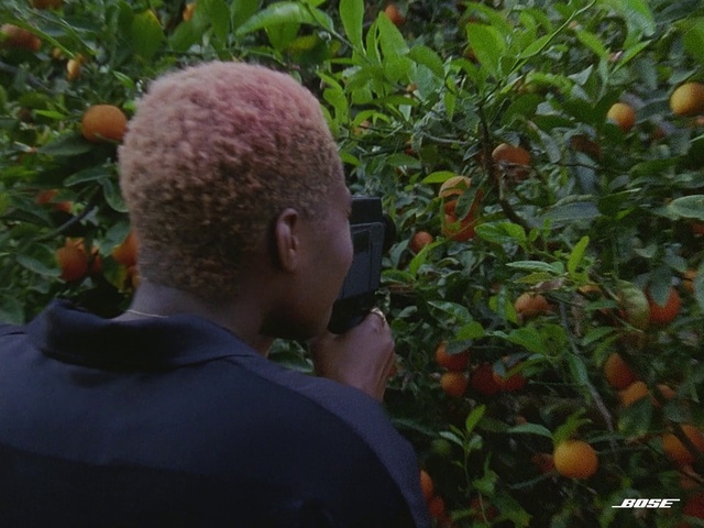 Video Reference: Plant, Rangpur, Food, Orange, Valencia orange, Fruit, Tangelo, Citrus, Natural foods, Bitter orange