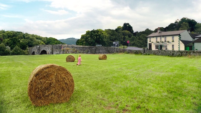 Video Reference: Cloud, Sky, Plant, Ecoregion, Tree, Natural landscape, Window, Grass, Plain, Grassland