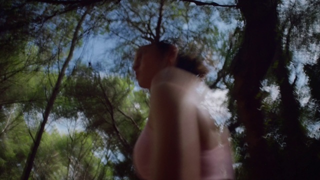 Video Reference: Tree, People in nature, Wood, Sky, Grass, Twig, Trunk, Trunk, Forest, Chest