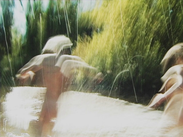 Video Reference: Plant, Fountain, Fawn, Grass, Leisure, Recreation, Working animal, Happy, Tree, Landscape