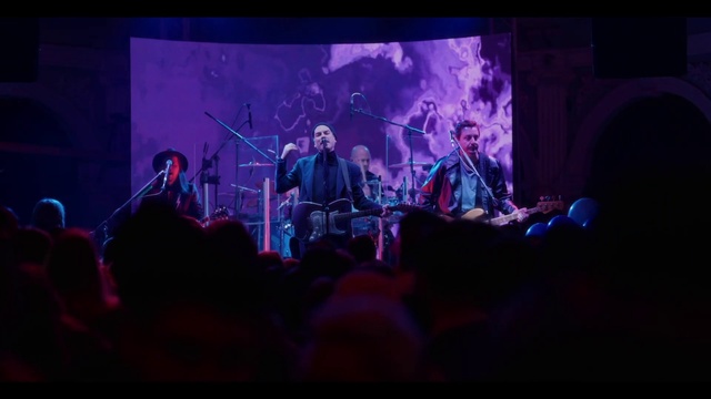 Video Reference: Musical instrument, Plant, Musician, Guitar, Purple, Guitarist, Artist, String instrument, Music, String instrument