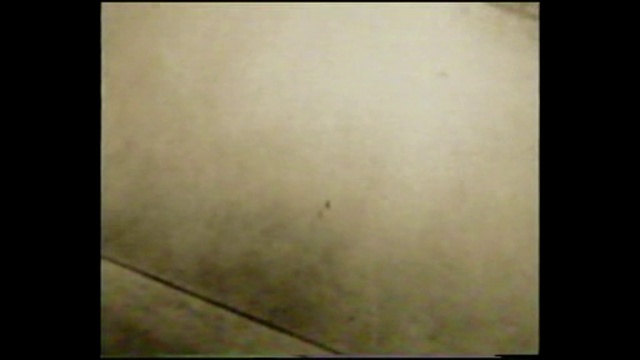 Video Reference: Rectangle, Tints and shades, Tree, Pattern, Visual arts, Square, Paper, Symmetry, Display device, Grass