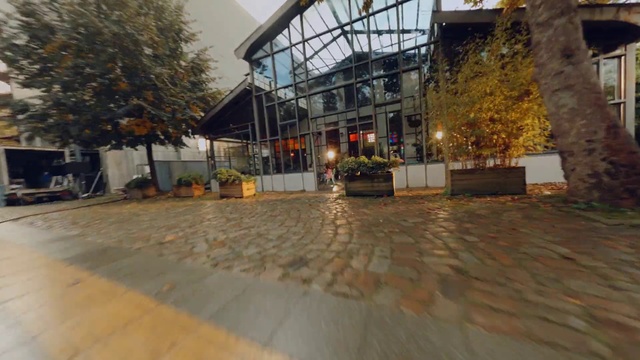 Video Reference: Plant, Tree, Road surface, Building, Urban design, Flooring, Floor, City, Facade, Leisure