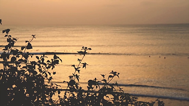 Video Reference: Water, Sky, Atmosphere, Daytime, Plant, Ecoregion, Afterglow, Natural landscape, Wood, Sunset