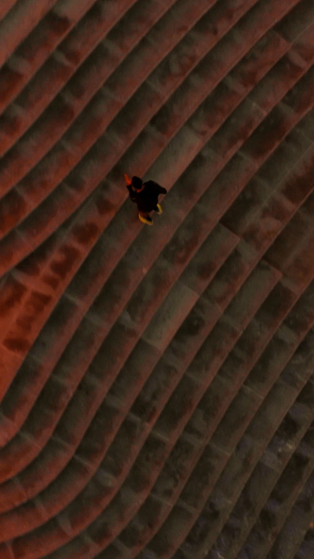 Video Reference: Brown, Bird, Wood, Amber, Tints and shades, Insect, Pattern, Roof, Brick, Brickwork