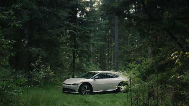 Video Reference: Tire, Wheel, Plant, Land vehicle, Car, Vehicle, Automotive tire, Hood, Automotive lighting, Alloy wheel