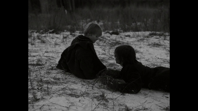 Video Reference: Plant, Flash photography, Black-and-white, Grass, People in nature, Snow, Jacket, Tree, Tints and shades, Monochrome photography