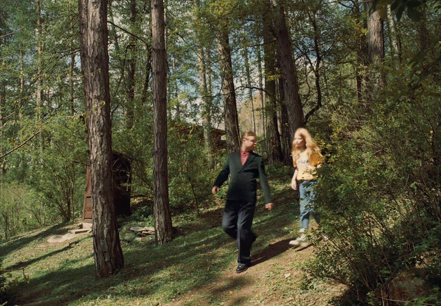 Video Reference: Plant, Plant community, People in nature, Tree, Wood, Natural landscape, Gesture, Trunk, Woody plant, Deciduous