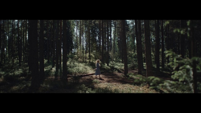 Video Reference: Plant, Wood, Natural landscape, People in nature, Tree, Branch, Terrestrial plant, Trunk, Grass, Landscape