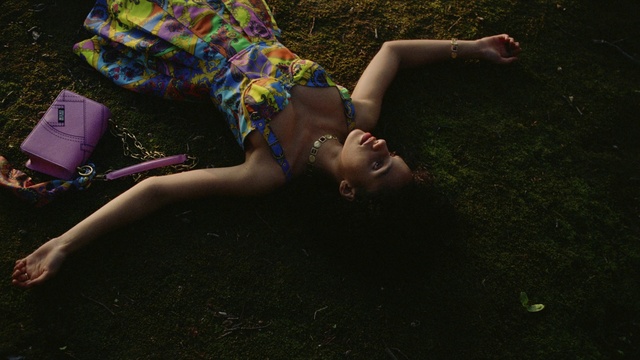 Video Reference: Sunglasses, Flash photography, People in nature, Thigh, Fawn, Goggles, Grass, Black hair, Human leg, Foot