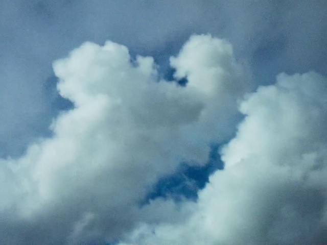 Video Reference: Cloud, Sky, Atmosphere, Azure, Tree, Atmospheric phenomenon, Cumulus, Electric blue, Meteorological phenomenon, Landscape