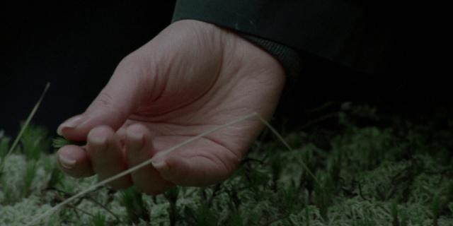 Video Reference: Plant, Gesture, People in nature, Thumb, Nail, Grass, Wrist, Human leg, Foot, Soil