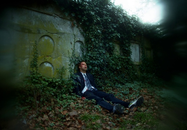 Video Reference: Atmosphere, Plant, People in nature, Leaf, Flash photography, Grass, Wall, Tints and shades, Landscape, Darkness