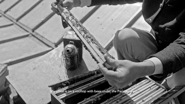 Video Reference: Musical instrument, Musician, Guitar accessory, Music, String instrument, Plucked string instruments, Electronic instrument, Artist, Wind instrument, Saxophonist