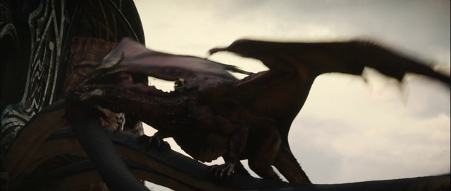 Video Reference: Plant, Branch, Gesture, Wood, Twig, Tints and shades, Tree, Art, Wing, Event