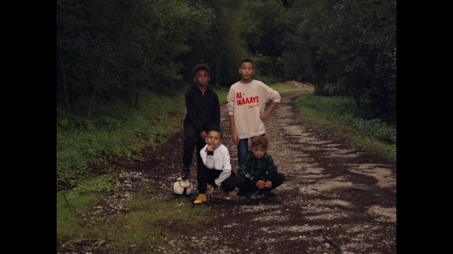 Video Reference: Plant, People in nature, Flash photography, Gesture, Tree, Grass, Happy, Natural landscape, Landscape, Ball