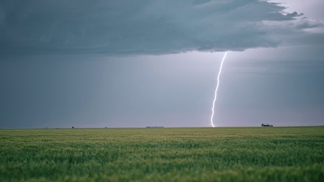 Video Reference: Cloud, Sky, Plant, Atmosphere, Lightning, Thunderstorm, Tree, Natural landscape, Thunder, Cumulus
