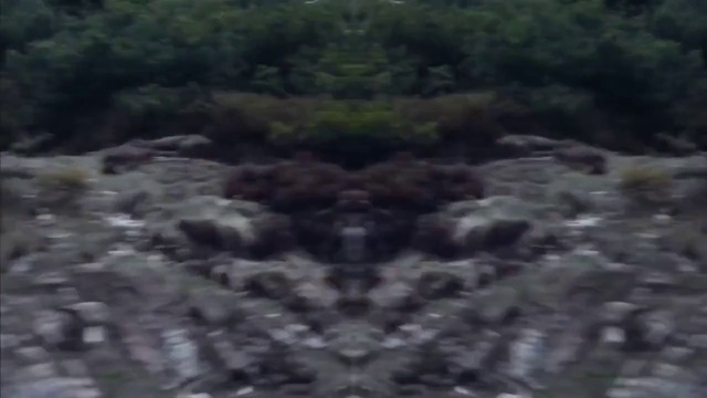 Video Reference: Plant, Natural landscape, Tree, Landscape, Grass, Grassland, Forest, Cumulus, Soil, Rock