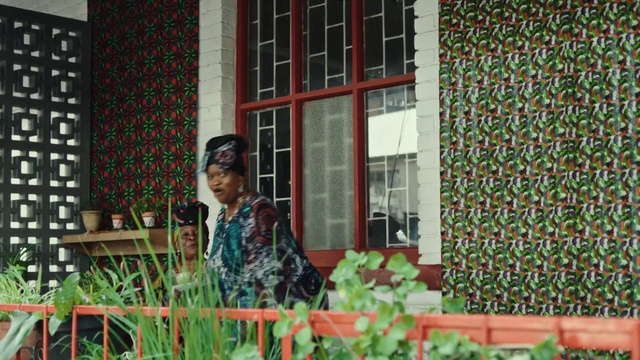 Video Reference: Plant, Window, Botany, Building, Grass, Leisure, Facade, Glass, Room, Sunglasses
