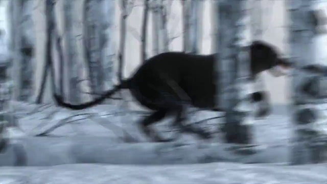 Video Reference: Twig, Snow, Tree, Freezing, Tail, Forest, Winter, Bird, Wood, Terrestrial animal