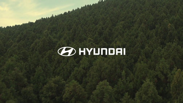 Video Reference: Cloud, Sky, Natural landscape, Tree, Wood, Plant, Atmospheric phenomenon, Evergreen, Terrestrial plant, Font