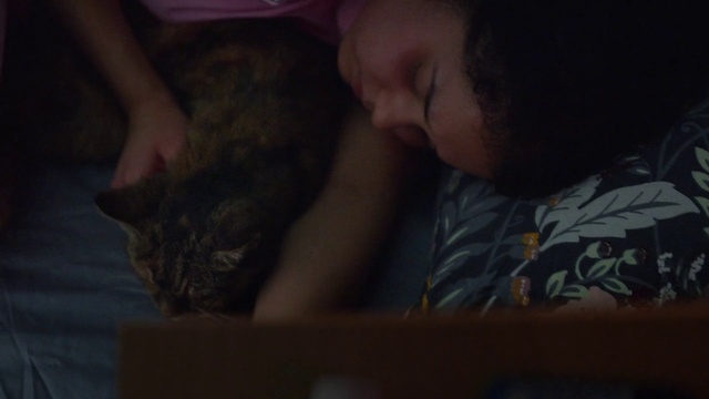 Video Reference: Cat, Ear, Felidae, Carnivore, Gesture, Grey, Comfort, Small to medium-sized cats, Whiskers, Darkness