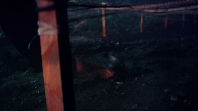 Video Reference: Wood, Tints and shades, Gas, Sky, Darkness, Glass, Flooring, Automotive lighting, Carmine, Visual arts