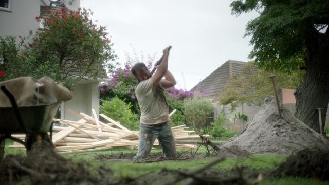 Video Reference: Plant, Sky, Building, Grass, Tree, Wall, Wood, Leisure, Adaptation, Shrub
