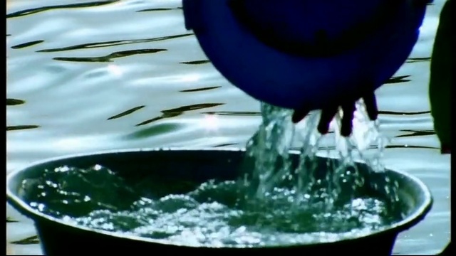 Video Reference: Water, Liquid, Water resources, Light, Green, Hat, Fluid, Organism, Ball, Glass