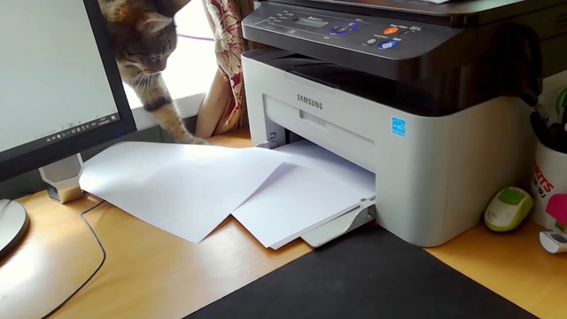 Video Reference: Computer desk, Output device, Peripheral, Desk, Table, Computer, Automotive design, Desktop computer, Gadget, Laser printing