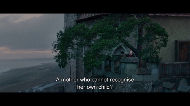 Video Reference: Plant, Cloud, World, Tree, Biome, Atmospheric phenomenon, Adaptation, Sky, Font, Landscape