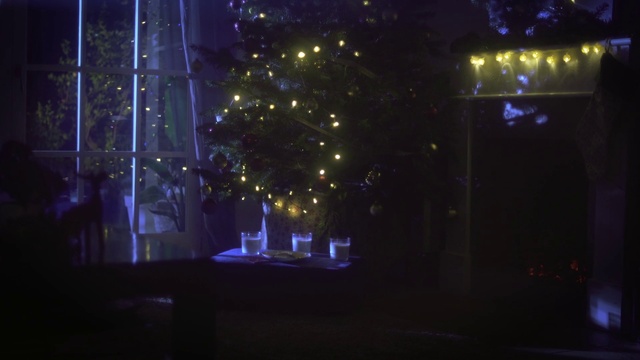 Video Reference: Plant, Automotive lighting, Purple, Entertainment, Electricity, Midnight, Tree, Electric blue, Event, Performing arts