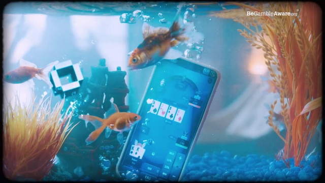 Video Reference: Blue, Green, World, Azure, Gadget, Aqua, Entertainment, Display device, Flat panel display, Font