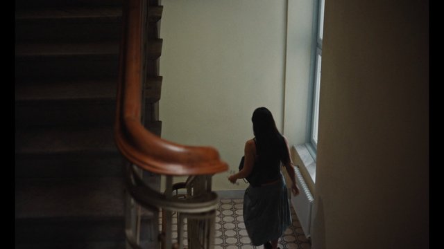 Video Reference: woman, stairs, staircase, indoor, interior, walking, window, dim light, building, hallway, architecture, back view